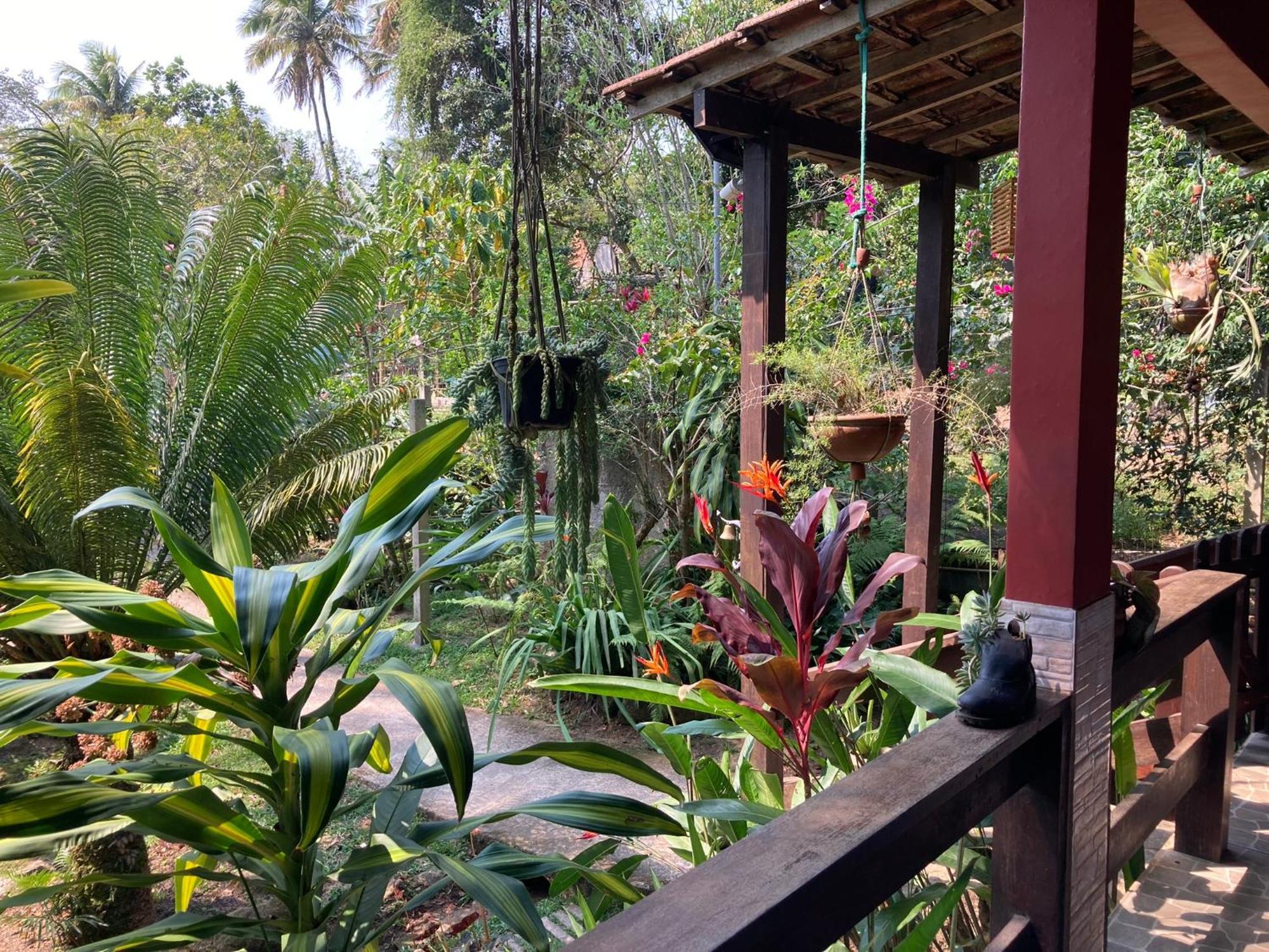 Casa Arariba - Ilha Grande - イーリャ・グランデ エクステリア 写真