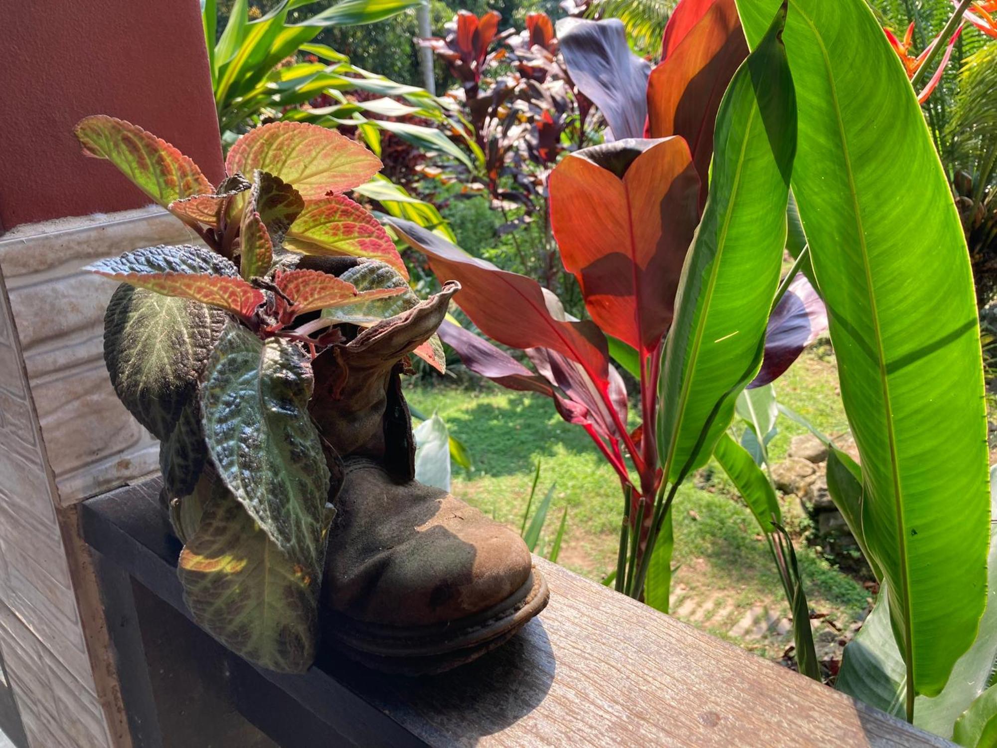 Casa Arariba - Ilha Grande - イーリャ・グランデ エクステリア 写真