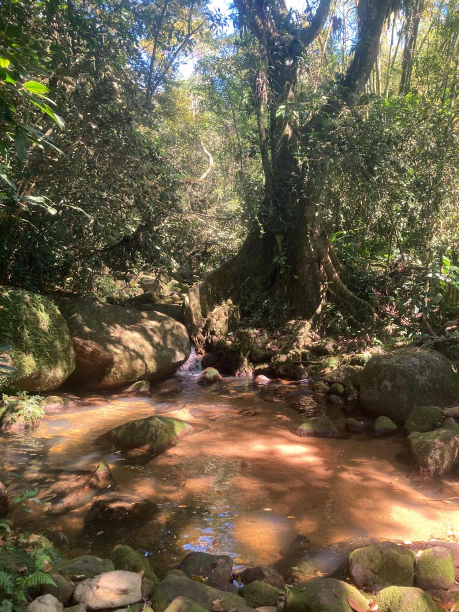 Casa Arariba - Ilha Grande - イーリャ・グランデ エクステリア 写真